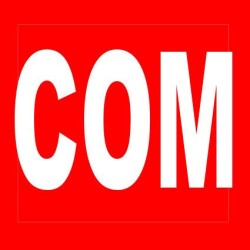 Concombre court Noa / kg