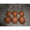 Oeufs bio / 6