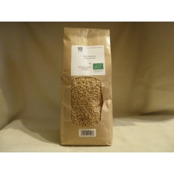 Petit épeautre / 1kg