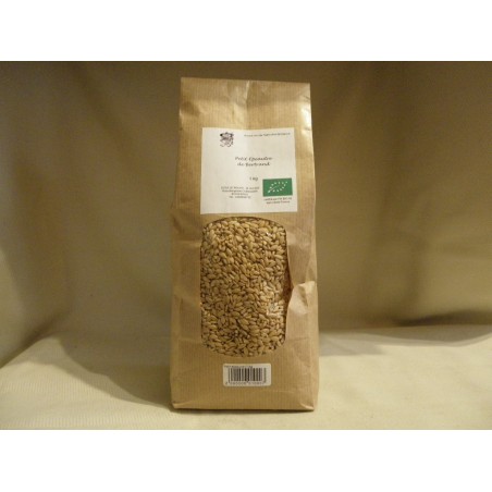 Petit épeautre / 1kg