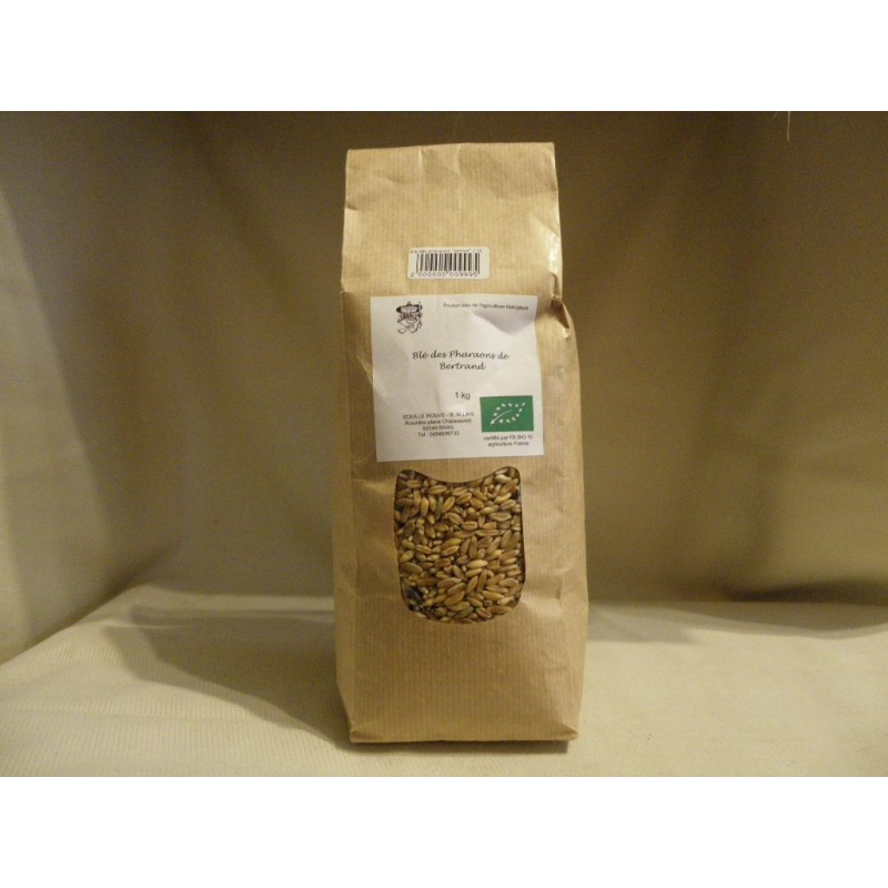 Blé des pharaons "kamut" / 1kg