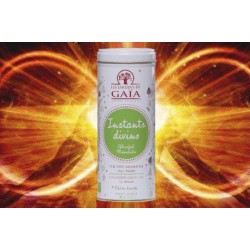 Thé Vert Gaïa Instants Divins / 90g