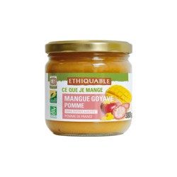 Purée de Mangue avec morceaux / 370g