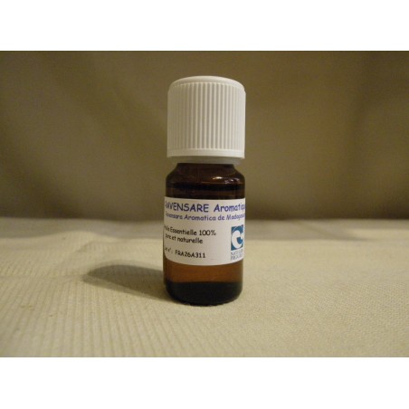 Huile Essentielle ravensara / 10 ml