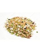 * Les Légumes secs et les Céréales